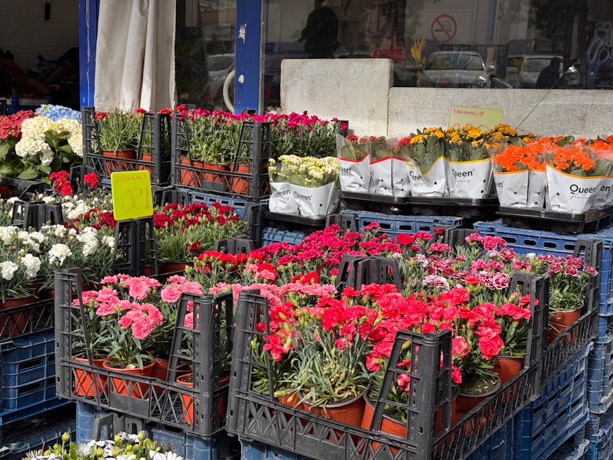 A variety of fresh flowering plants displayed on black plastic crates outside a florist, featuring pink, white, and red carnations, marigolds in orange and yellow, and purple and white daisies, all in