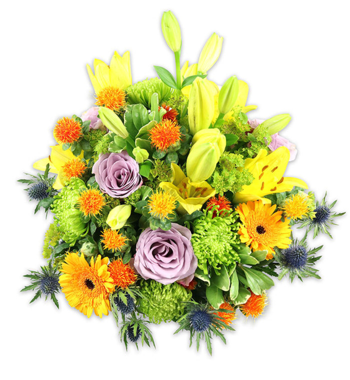 A compact, richly hued floral mound set against white, where warm yellows and oranges meet cool lavenders and steely blues in balanced harmony. Radiant yellow Asiatic lilies form vertical accents; several are open to show their freckled throats and stamens, while others remain as elongated buds that add a sense of expectancy. Two or more powdery lavender-purple roses are placed near the centre, their spiralling petals creating a soft, classical focus among more playful elements. Large orange Gerbera daisies fan out with flat, striated petals and darker centres, injecting brightness and cheer. The arrangement's lush density owes much to chartreuse button chrysanthemums, their clustered florets creating a textured, ruffled mass that feels almost like moss. Interspersed are small, spiky, globe-like orange and golden yellow blooms that offer whimsical punctuation. Blue-grey sea thistles (Eryngium) appear at the edges and low points, their architectural, bristly forms providing dramatic contrast and a modern twist. Varied greenery-broad lily leaves and glossy, smaller filler leaves-threads through every layer, giving depth, cool shadow and a fresh scent base beneath the sweeter notes of rose and lily. The photograph's lighting is gentle and directional, highlighting petal surfaces and the arrangement's handcrafted contours as if set for a mantelpiece on East Sheen's Sheen Road. This bouquet conveys celebration and comfort simultaneously, suitable for birthdays, anniversaries, floral centrepieces, or a comforting, colourful tribute.